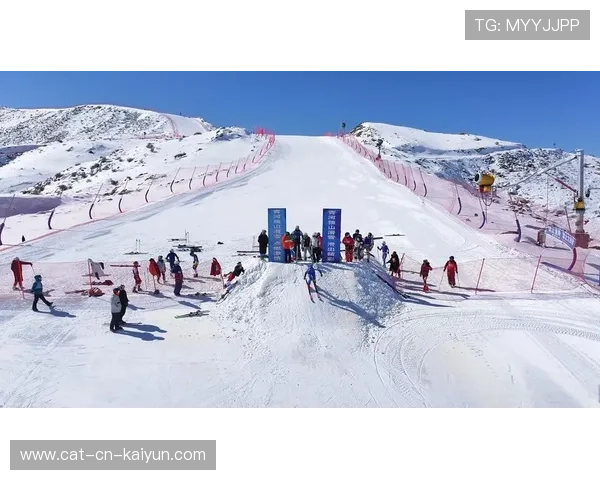 高山滑雪赛事志愿者体系建立长期激励与培训机制，高山滑雪的规范竞赛项目有哪些